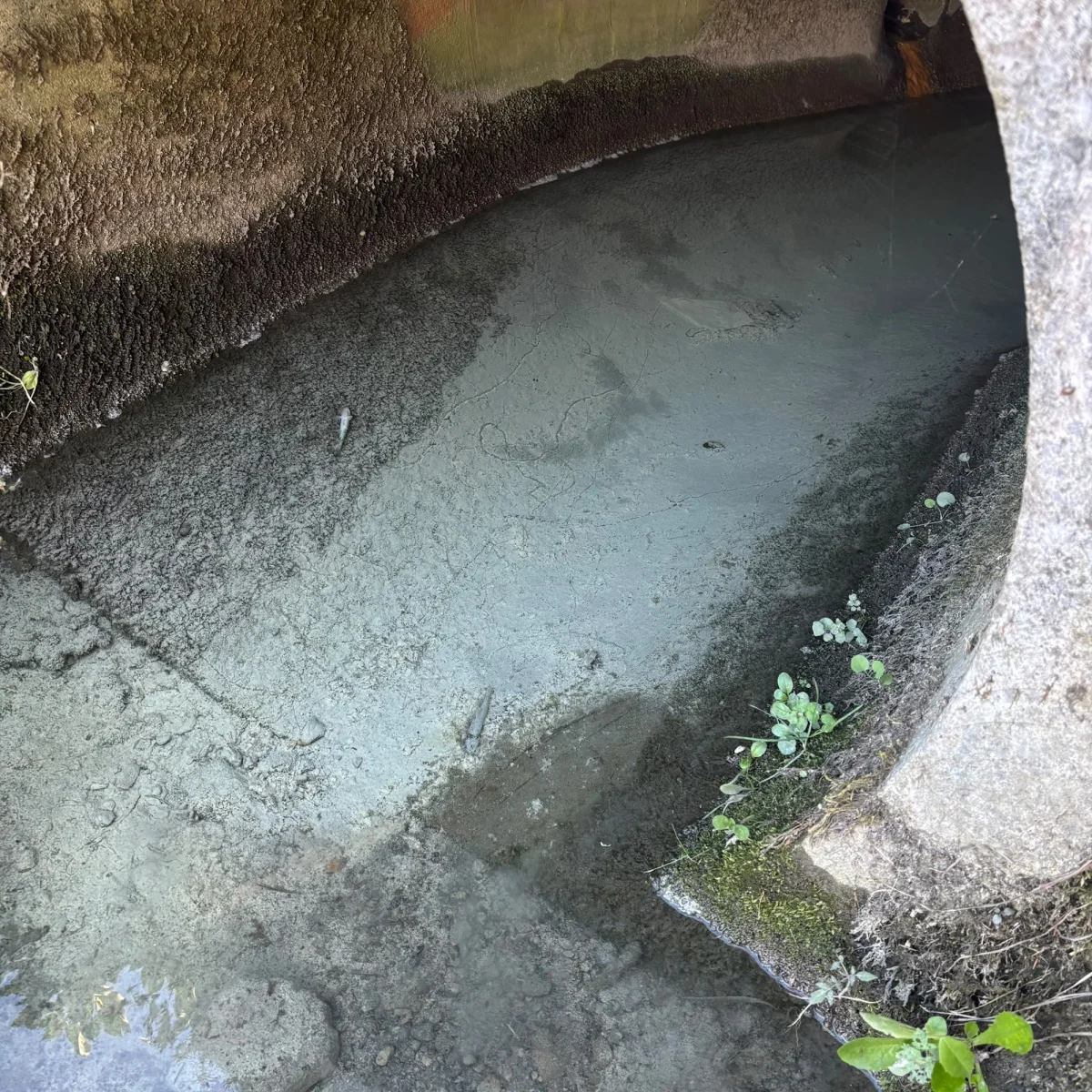 Ein schmaler Wassergraben mit niedrigem Wasserstand, umgeben von leichtem Bewuchs; die Wände sind durch Feuchtigkeit markiert.