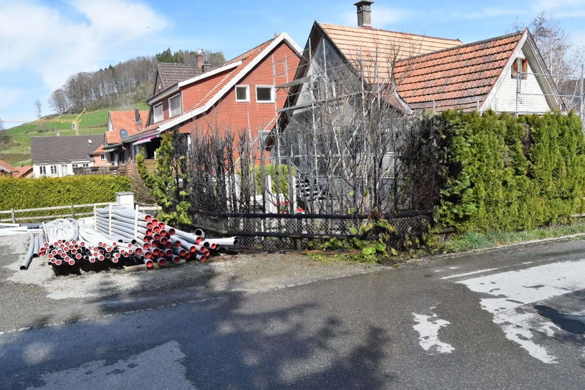 Heiden AR - Thujahecke in Brand geraten