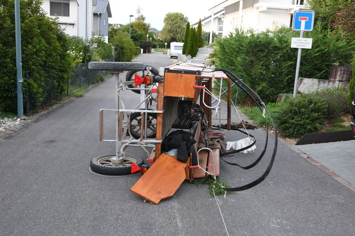 Unfall in Lupsingen BL - Pferdegespann gerät ausser Kontrolle – zwei Personen verletzt