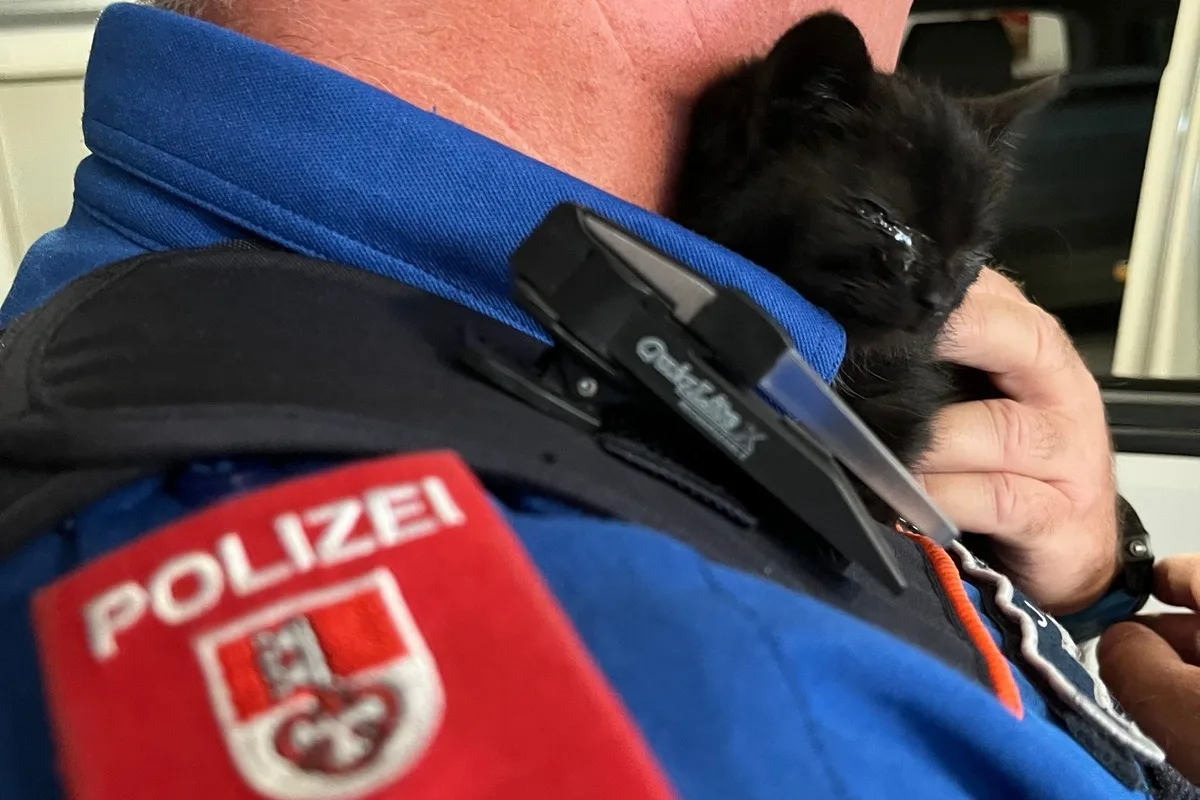 Kerns OW - Polizei rettet ein junges Kätzchen aus einem Schacht