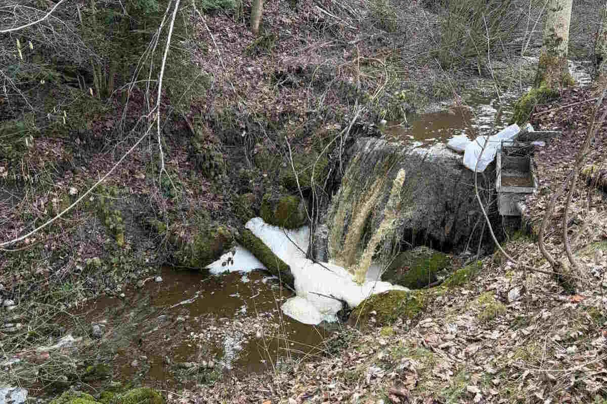 Mosnang SG – Geplatzte Jaucheleitung verschmutzt Bach
