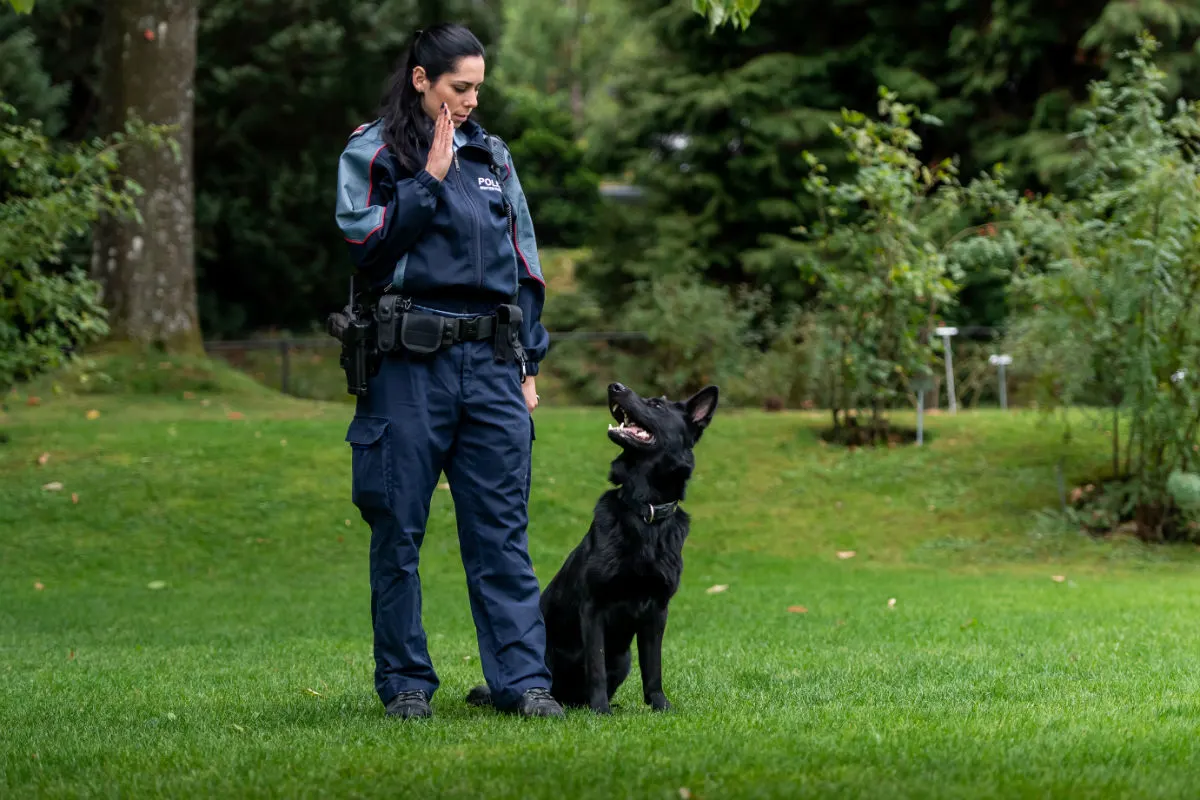 Winterthur ZH - Zwei neue Polizeihunde im Einsatz
