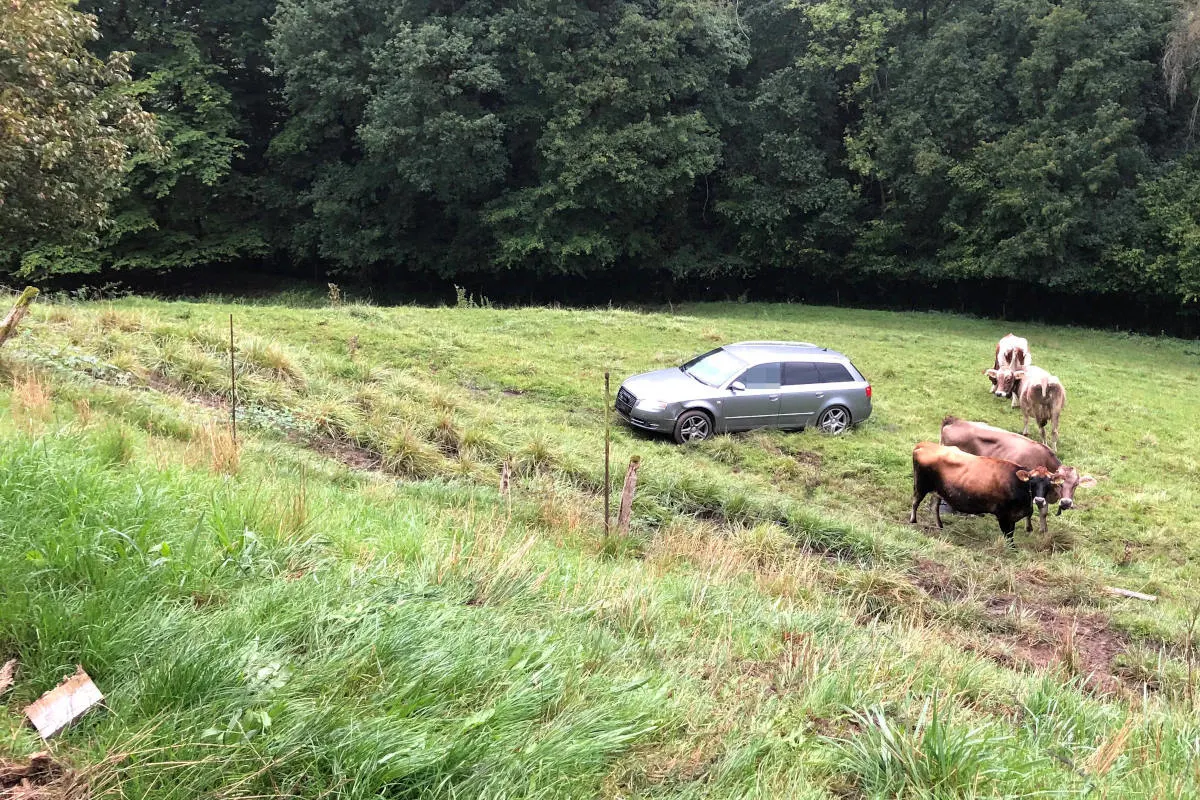 Unfall in Frauenfeld TG – Mit fast 2 Promille verunfallt