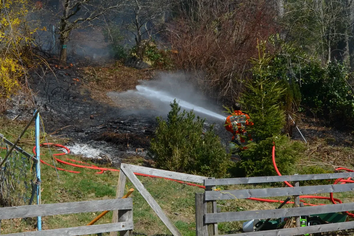 Reute AR - Feuer greift auf Waldrand über