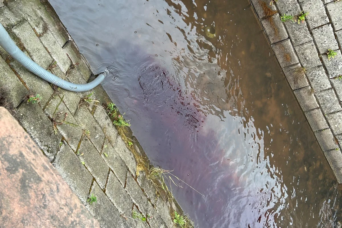 Edesheim RP – Mehrere Fische verendet durch Rotwein im Bach