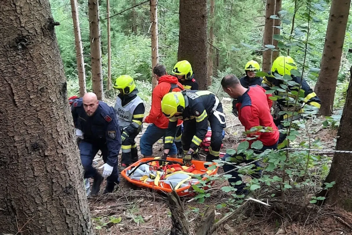 Mehrere Rettungskräfte bewegen sich mit einer Trage durch ein bewaldetes Gebiet. Die Person auf der Trage ist gesichert.