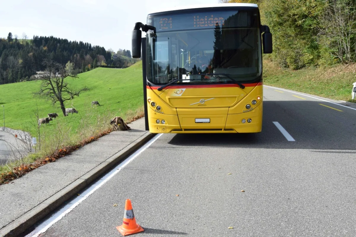 Grub AR - Fussgänger von Bus erfasst und mit Verdacht auf Schädelfraktur hospitalisiert