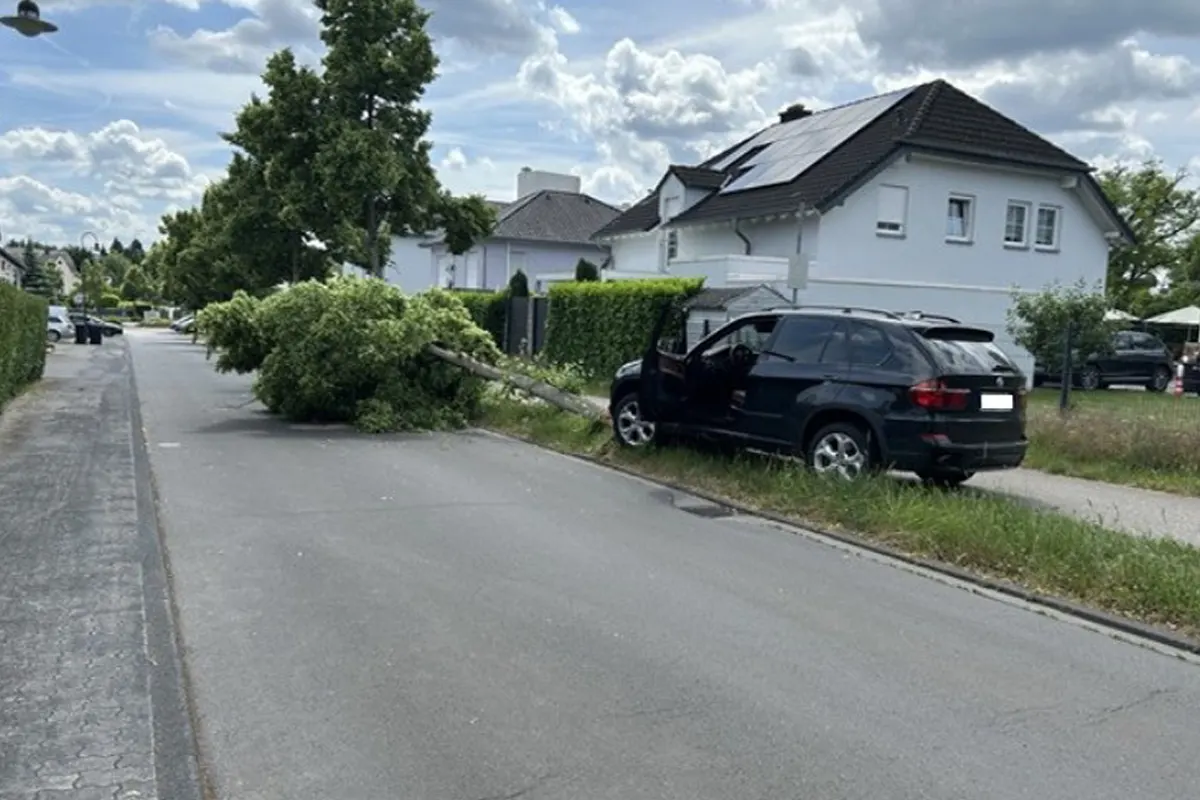 Ein schwarzer SUV steht gegen einen Baum gelehnt, der über eine Wohnstraße gefallen ist. Die Fahrertür steht offen.