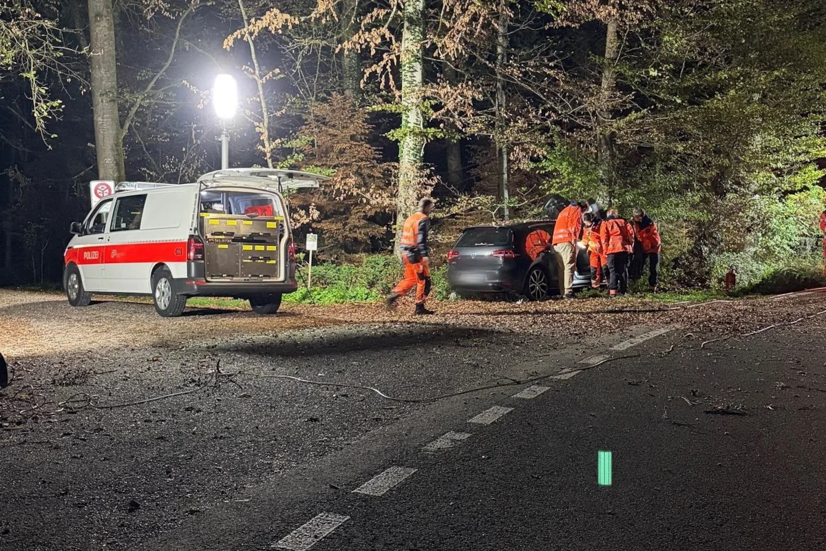 Ein Polizeiauto steht mit offenen Türen in einem beleuchteten Waldgebiet. Einsatzkräfte kontrollieren ein schwarzes Auto.