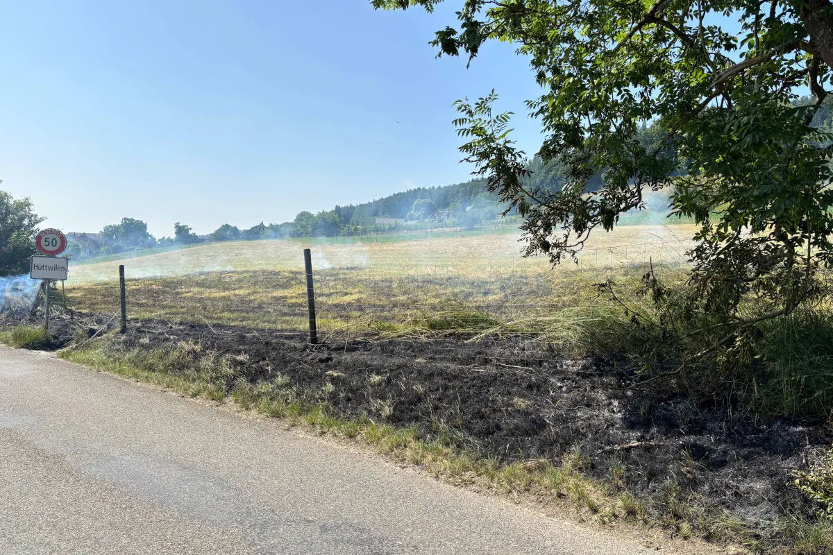 Hüttwilen TG – Ursache nach Wiesenbrand unklar