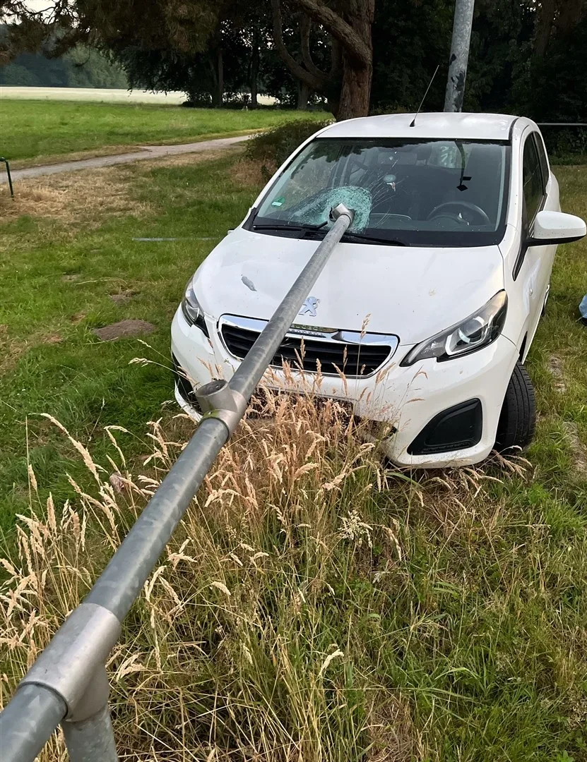 Ein weißer Peugeot steht auf einer Wiese, durch den die Frontscheibe ein Metallzaun ragt. Der Parkplatz ist verlassen.