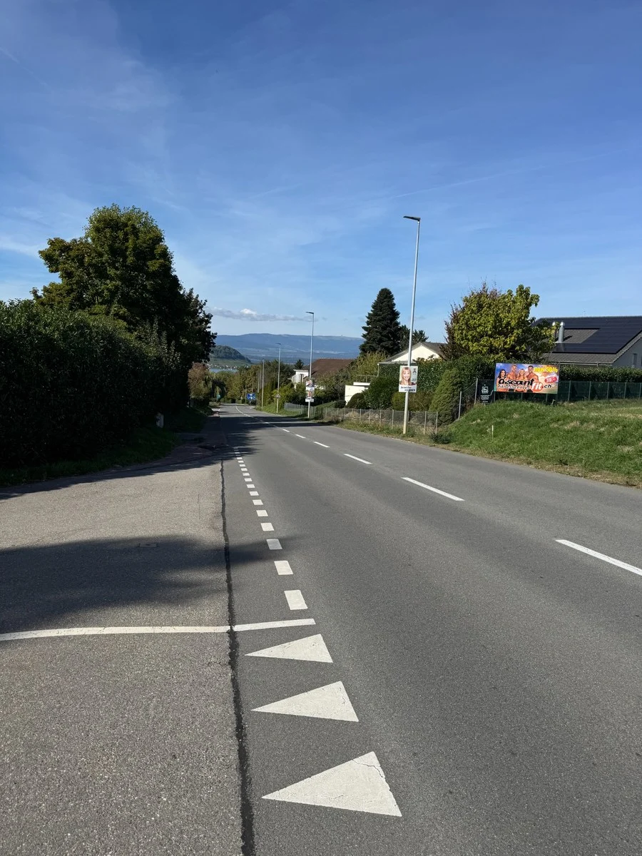 Eine leere Landstraße erstreckt sich durch eine ländliche Gegend, umgeben von grünen Bäumen und Häusern unter klarem Himmel.