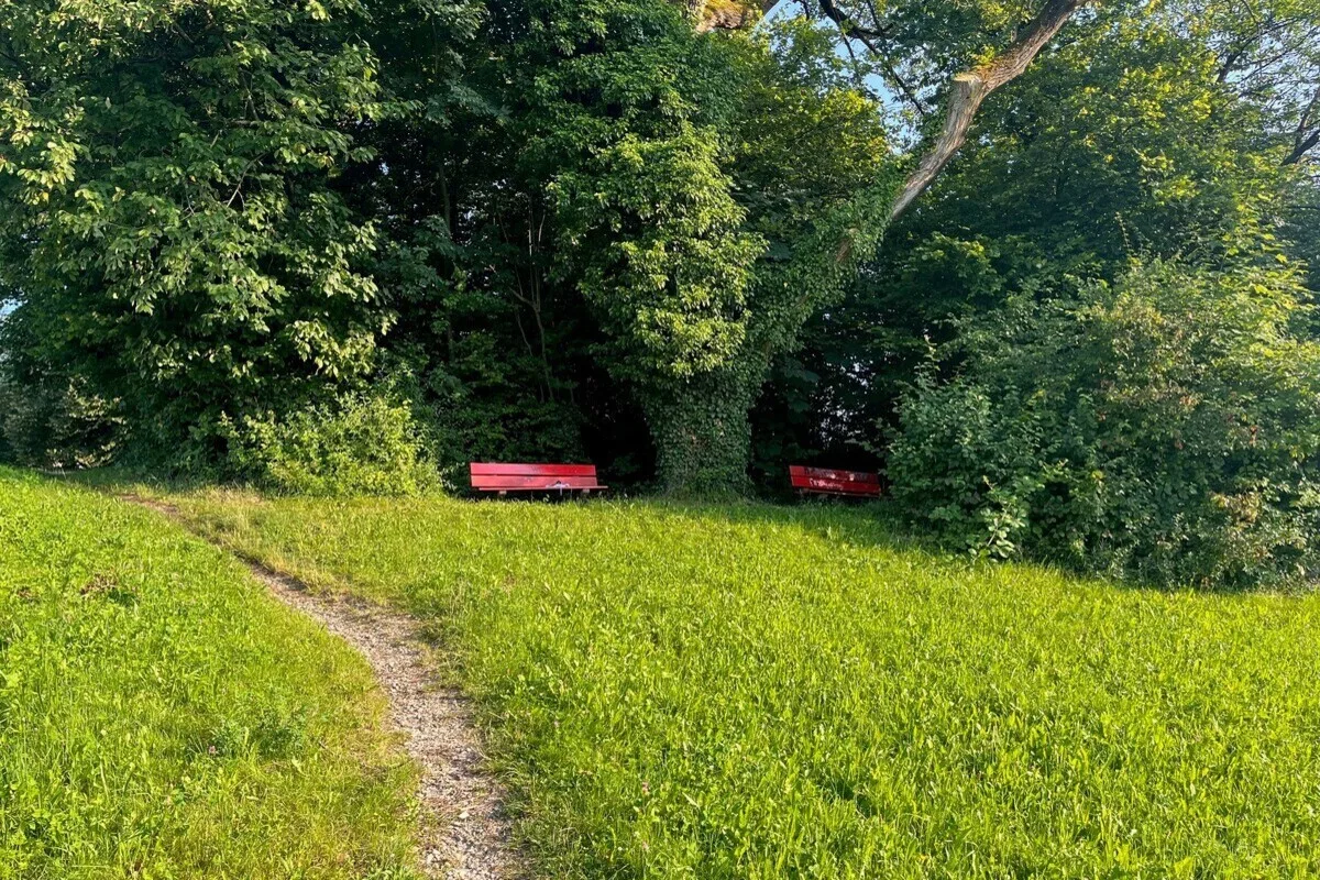Winterthur ZH - Mann wird während Blind Date gewalttätig angegriffen 