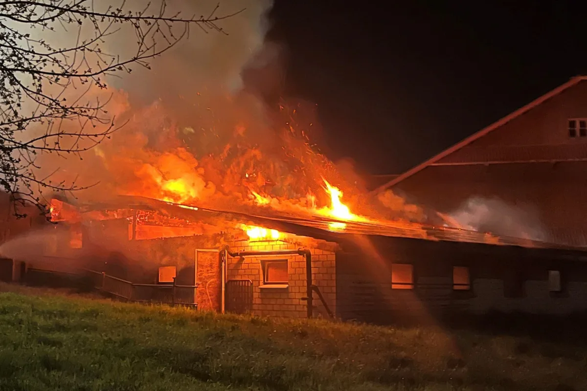 Grosswangen LU – Mehrere Tiere bei Scheunenbrand gestorben