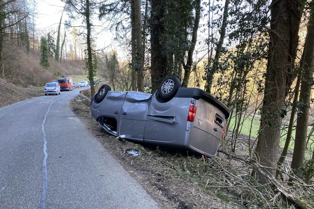 Rekingen AG – Holzfällerarbeiten lösen Grossaufgebot aus