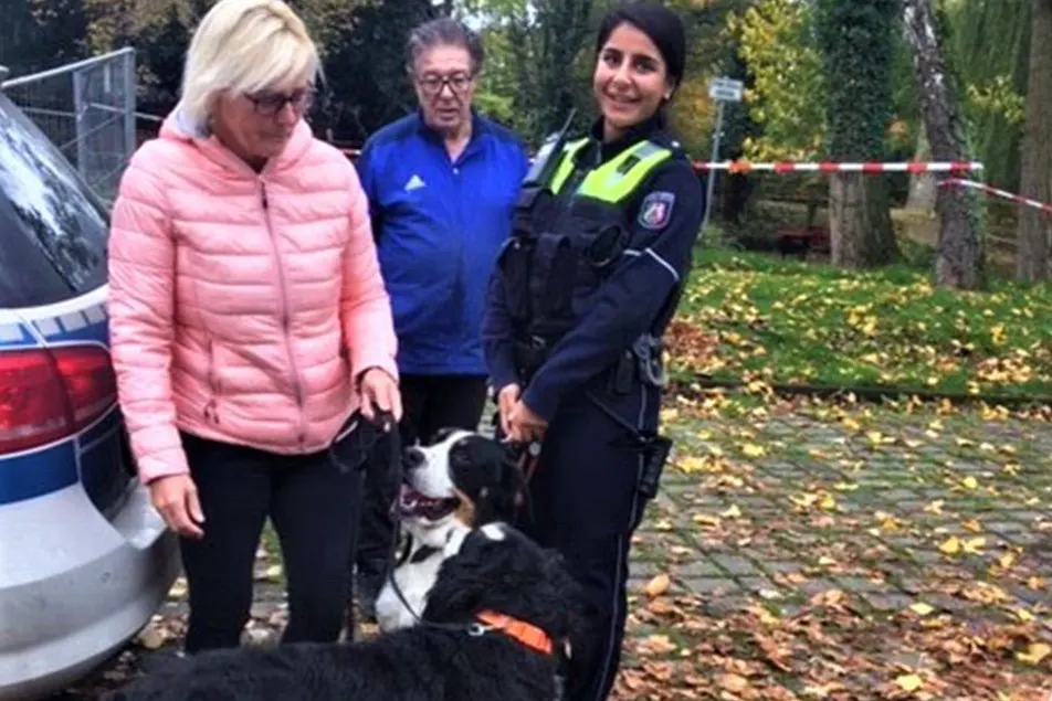 Tierischer Einsatz in Köln – Hundeausflug auf der A 44 endet glimpflich