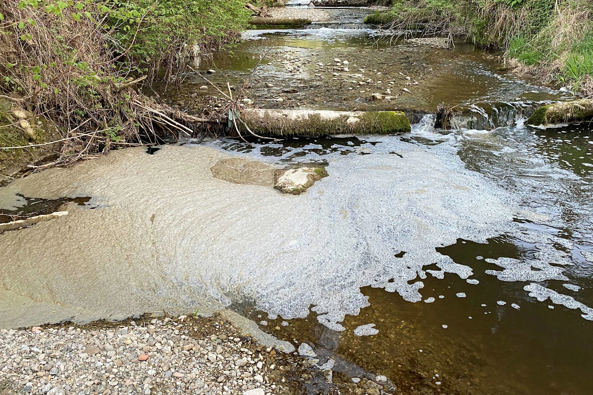 Hergiswil bei Willisau LU –  Gülle führt zu Fischsterben