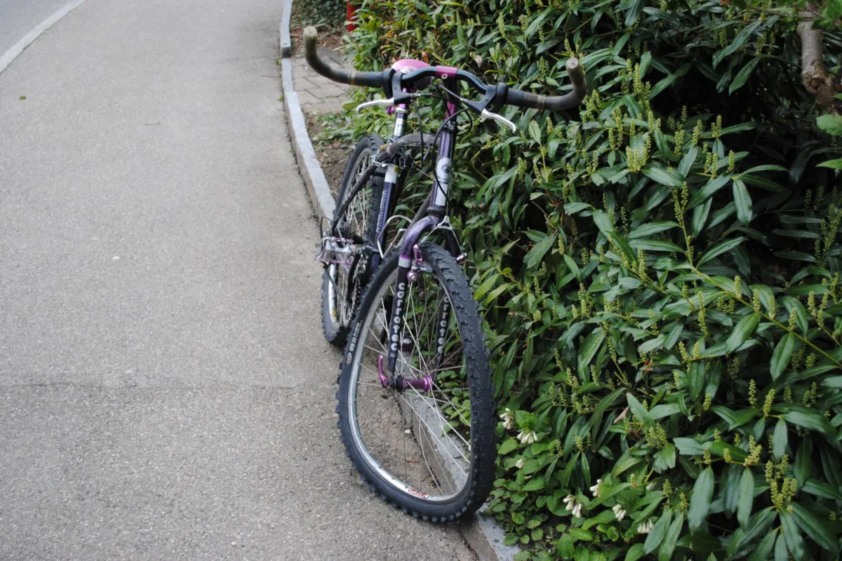 Schaffhausen SH - Verkehrsunfall zwischen Personenwagen und Fahrrad