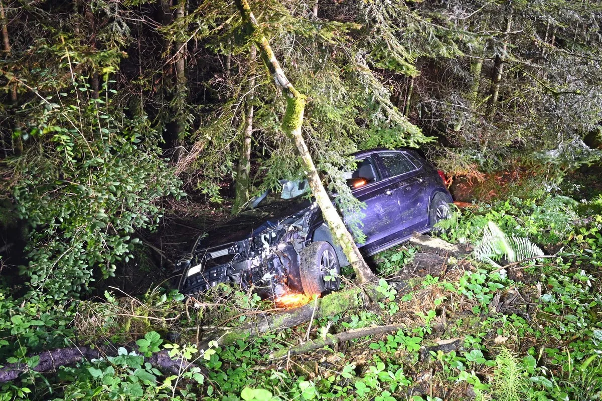 Unfall in Horw LU - Mit einem Baum kollidiert