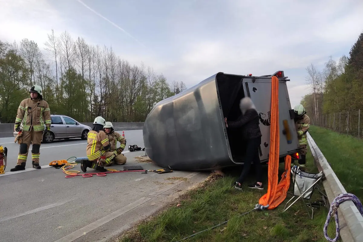 Quickborn – Feuerwehr befreit Friesendame Jasmin