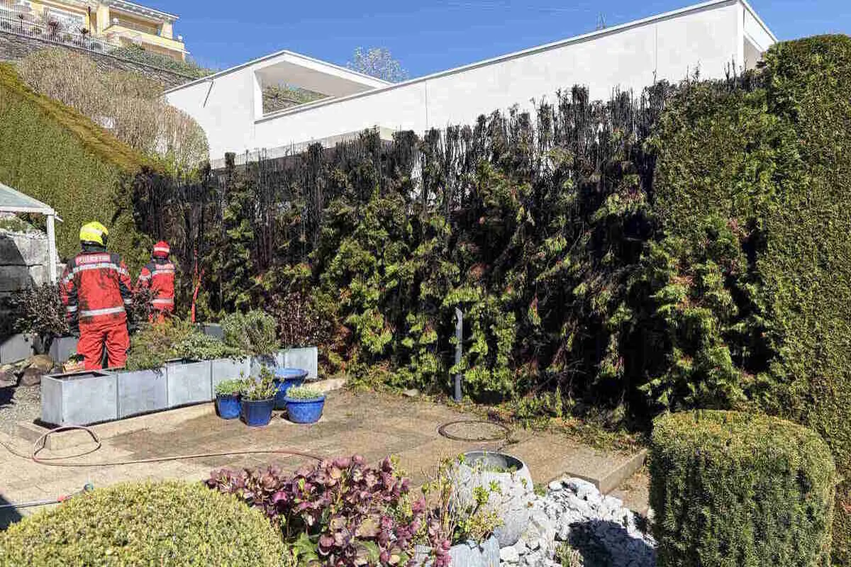 Eschenbach SG – Hecke bei Gartenarbeiten in Brand geraten