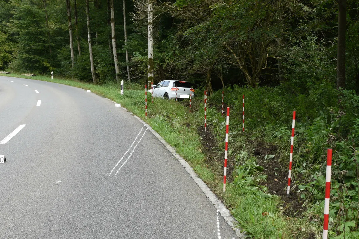 Wädenswil ZH - Selbstunfall mit Personenwagen