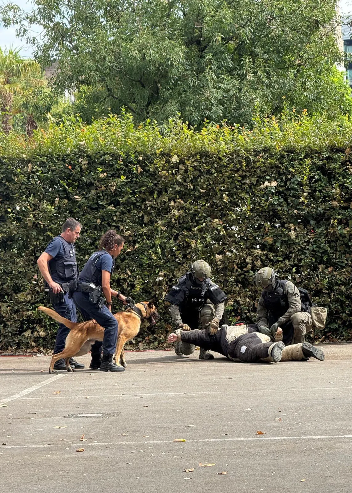 Drei Polizisten und ein Diensthund fixieren eine liegende Person auf dem Boden einer asphaltierten Fläche vor einer Hecke.