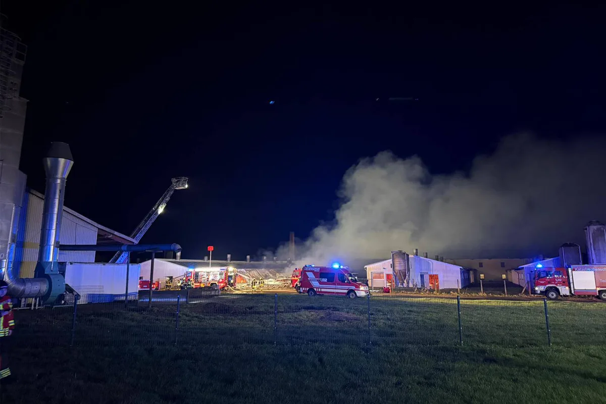 Siedenbollentin MV – 70 Tiere verenden bei Großbrand in Schweinestall