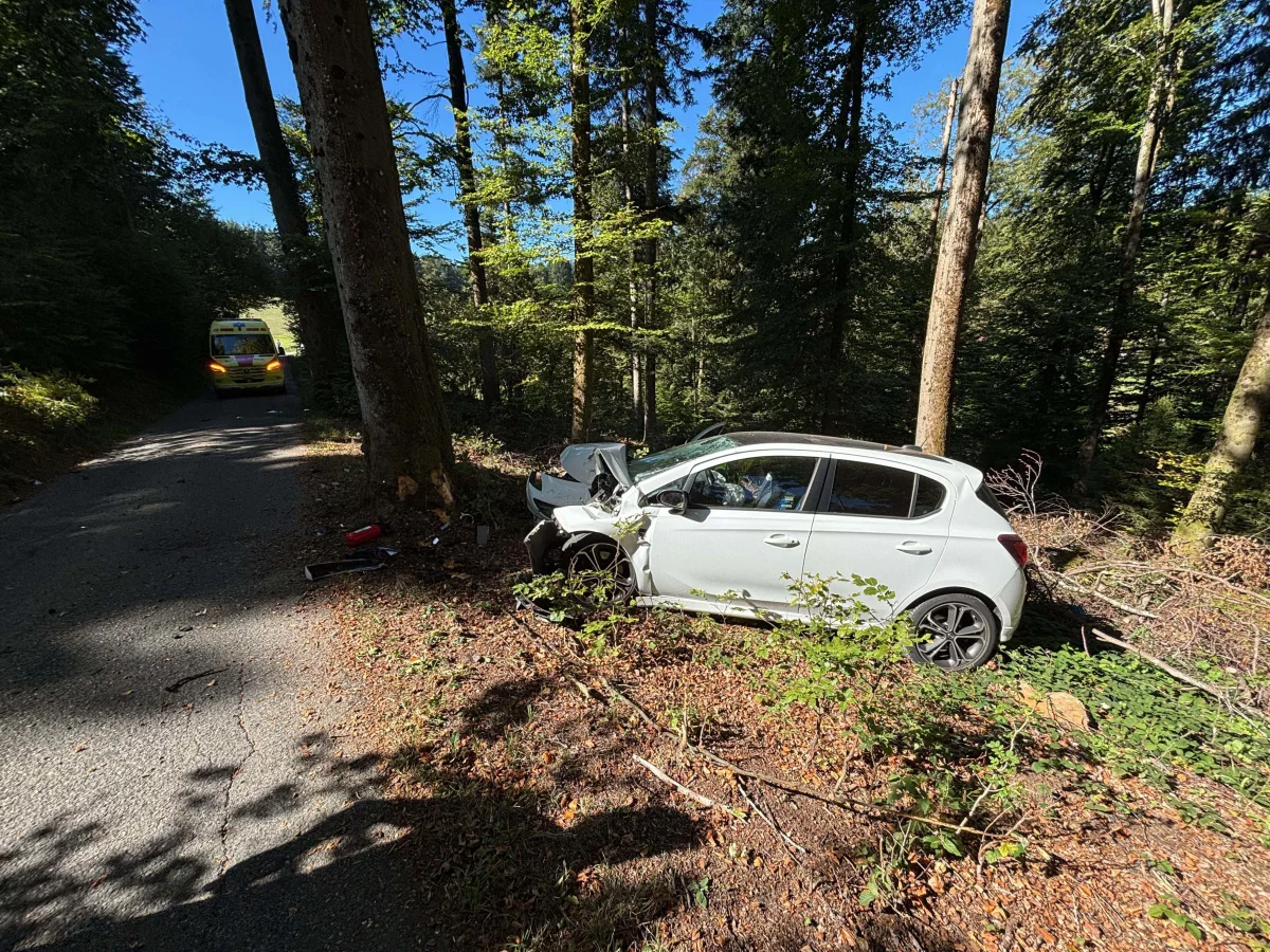 Ein weißes Auto ist frontal mit einem Baum am Waldrand kollidiert. Ein Rettungswagen steht im Hintergrund auf einer schmalen Straße.