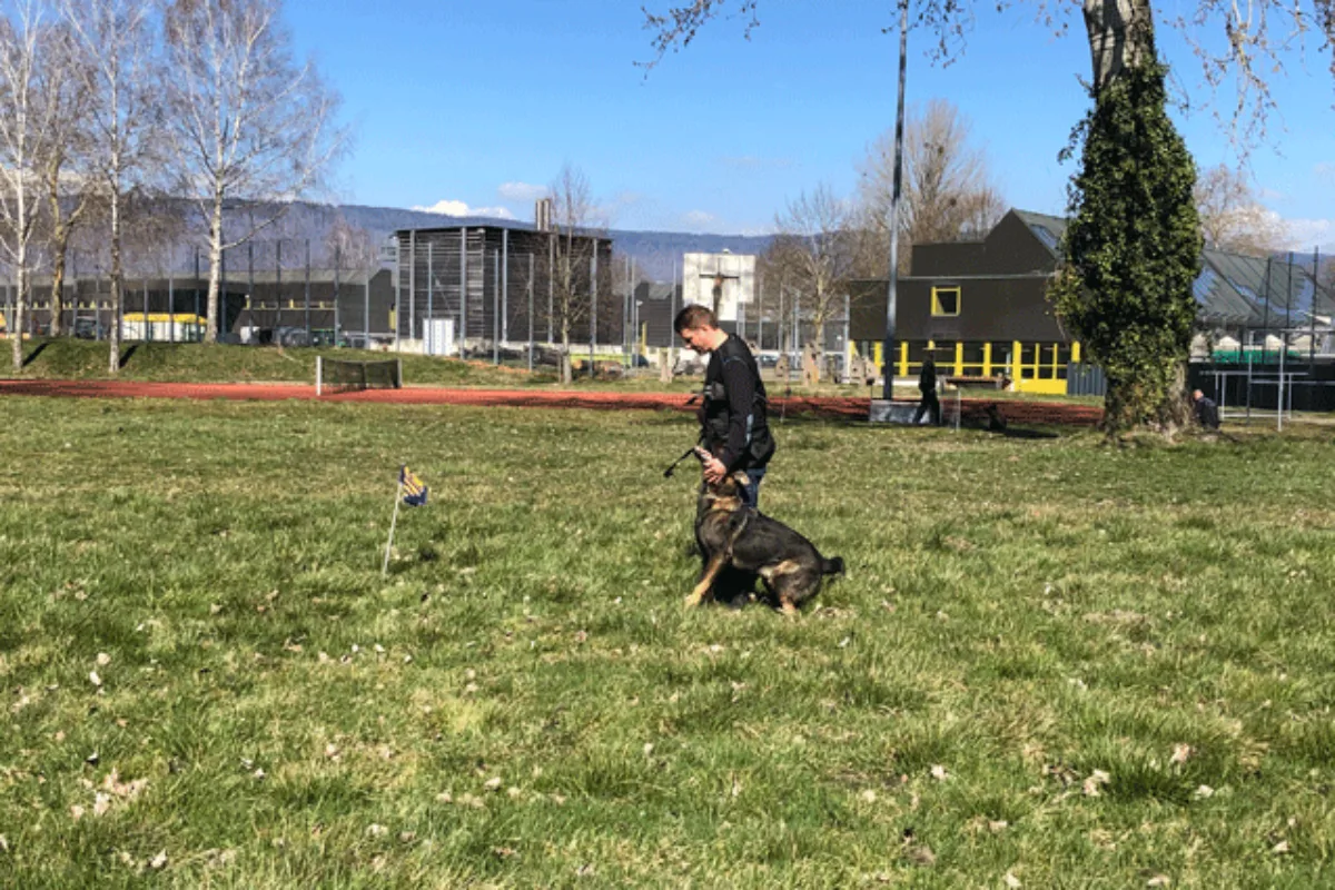 Polizeihund Gajus’  findet fast alles