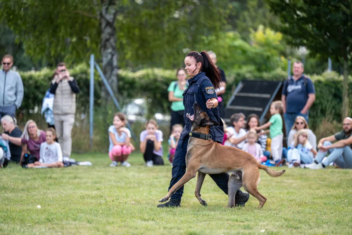 Eine Polizistin führt mit einem Hund auf einer Wiese vor, während Zuschauer im Hintergrund sitzen und zuschauen.