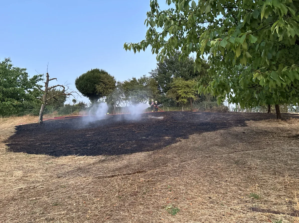 Zwei Feuerwehrleute stehen auf einer verbrannten, schwarzen Wiese und löschen das Feuer mit einem Wasserschlauch. Im Hintergrund sind grüne Bäume und Büsche sichtbar.