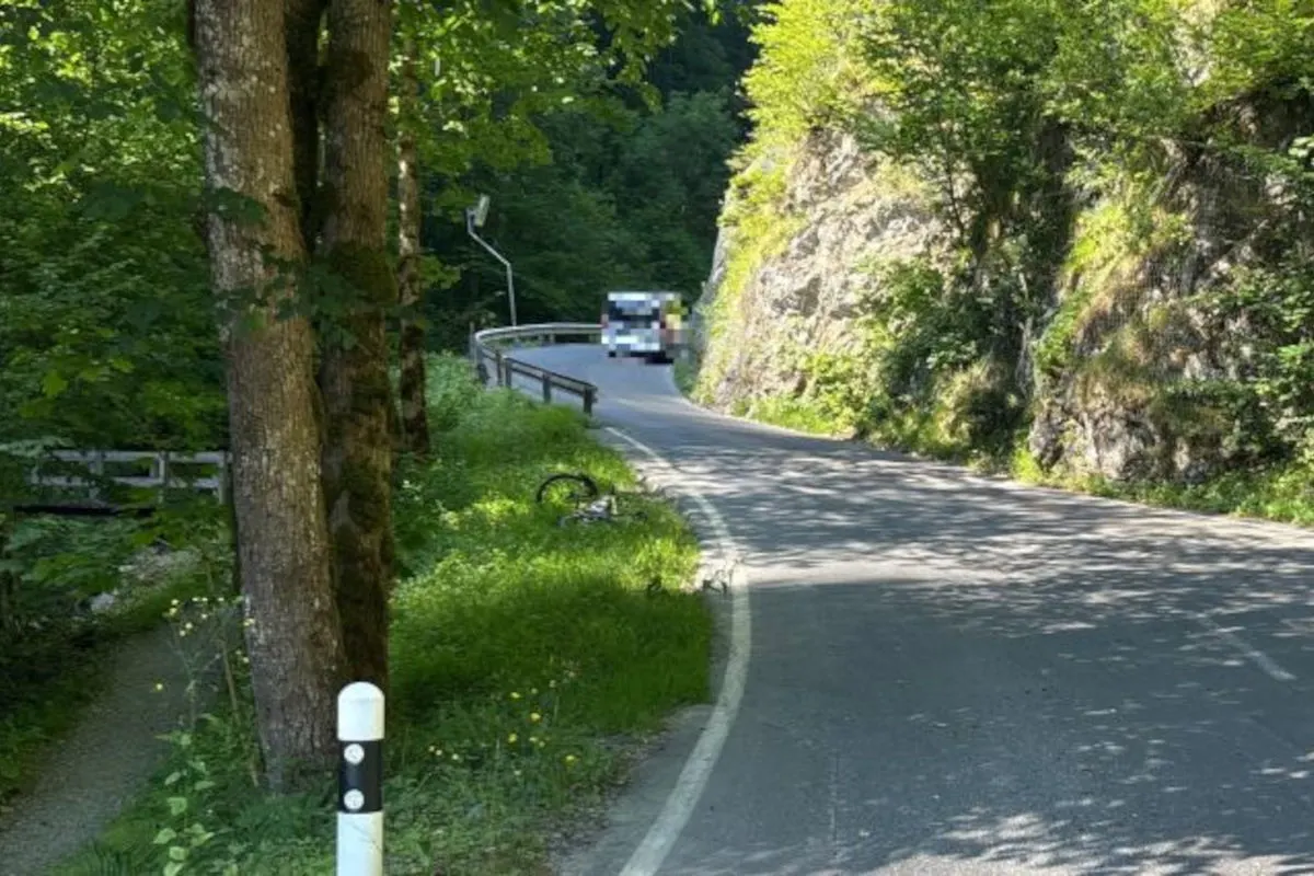 Ein Fahrrad liegt verlassen im Gras neben einer gewundenen Landstraße, die von Bäumen umgeben ist. Ein Fahrzeug ist weiter entfernt auf der Straße sichtbar.