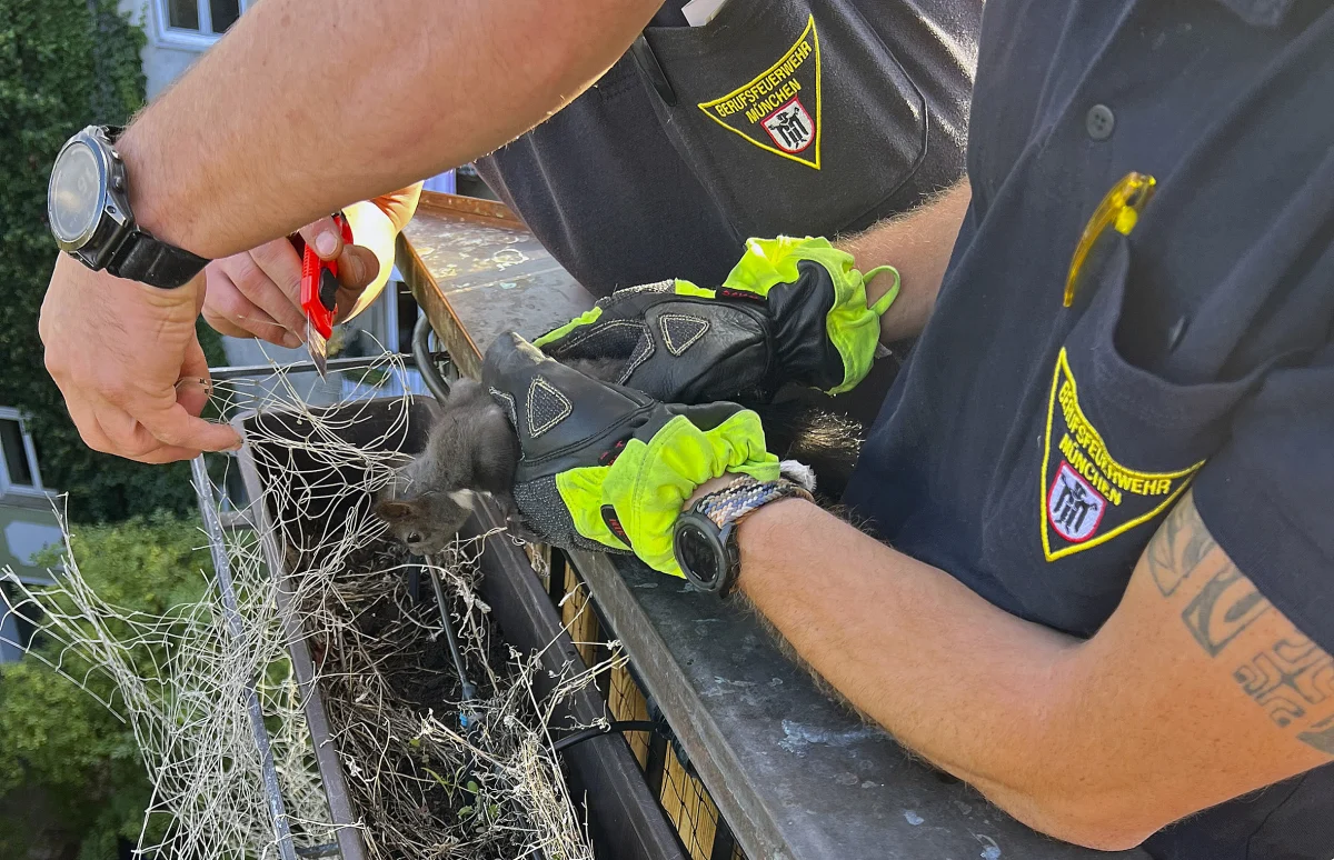 Zwei Feuerwehrleute der Feuerwehr München befreien ein Eichhörnchen aus einem Netz auf einem Balkon mit Hilfe eines Werkzeugs.