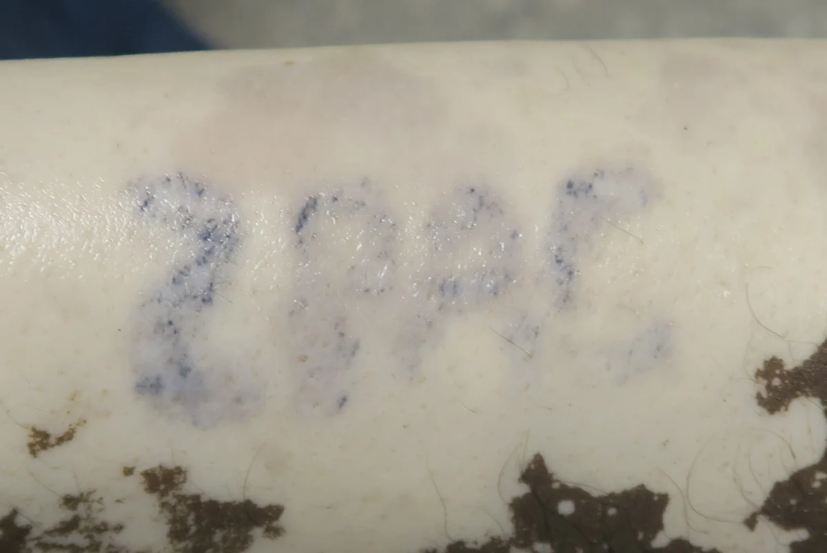 Nahaufnahme eines Arms mit einer verblassten Tätowierung der Buchstaben 'ZDFS', umgeben von leichter Schmutzablagerung.