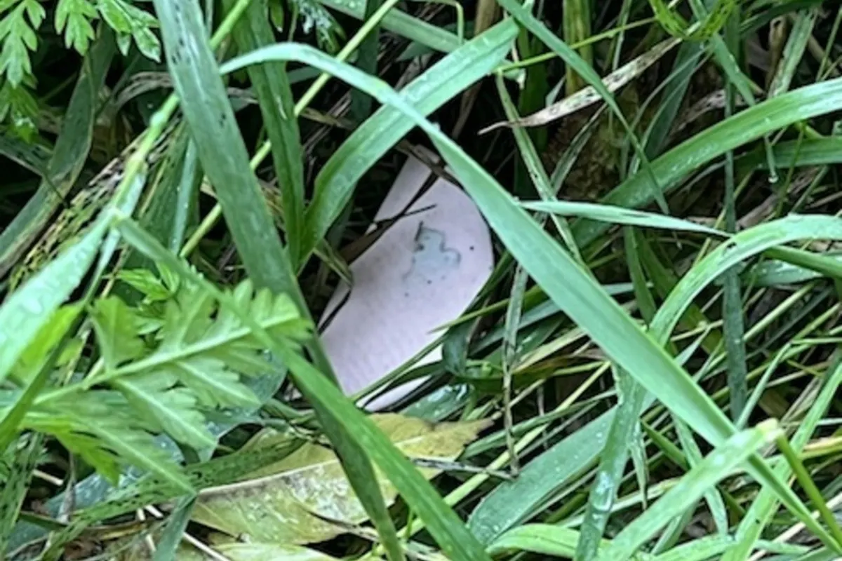 Cloppenburg/Vechta - Achtung! Köder mit Rasierklingen gefunden
