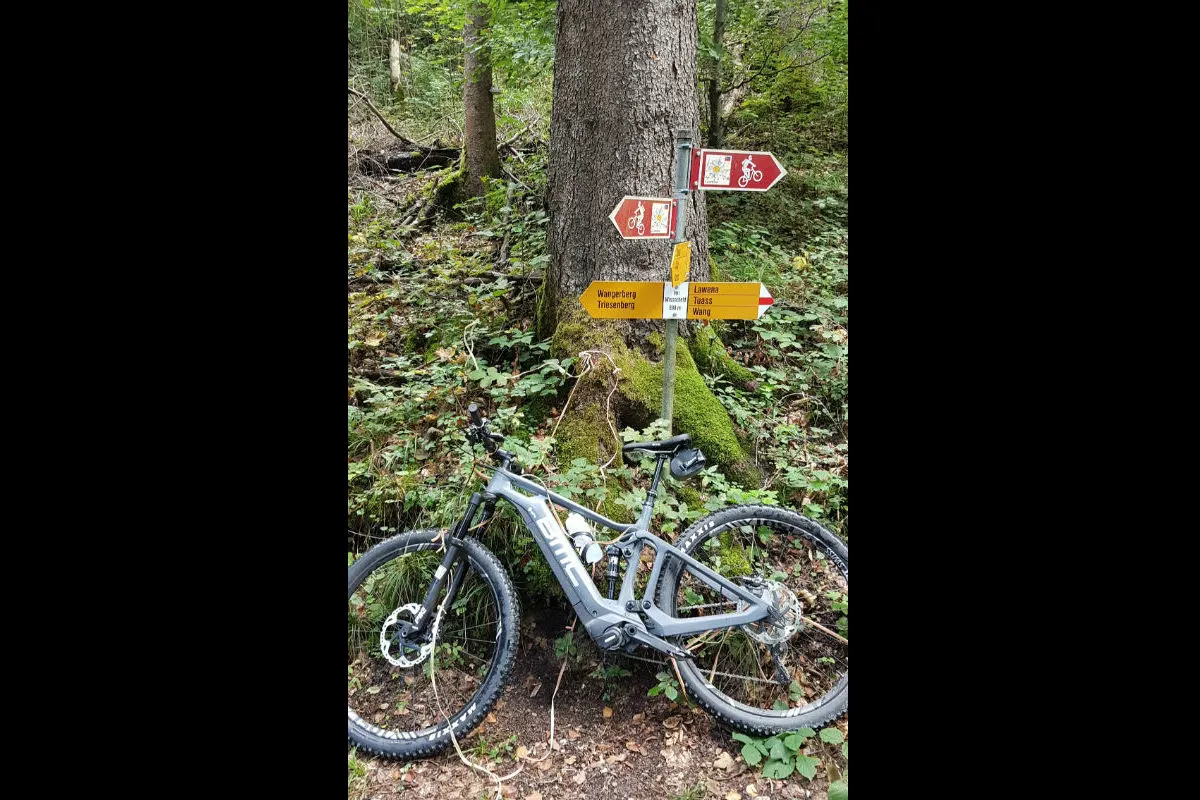 Triesen FL - Mountainbiker stürzt wegen Draht