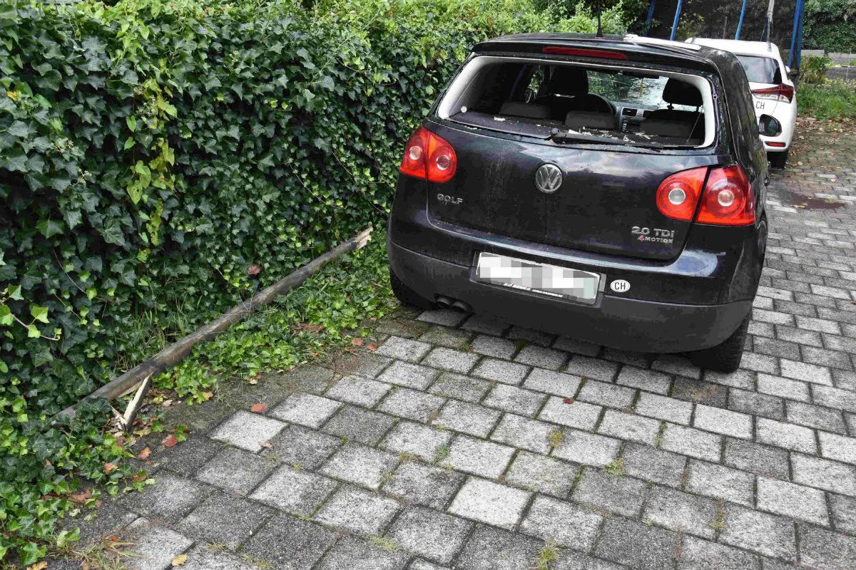 Walenstadt SG - Fahrunfähig in Holzzaun gekracht