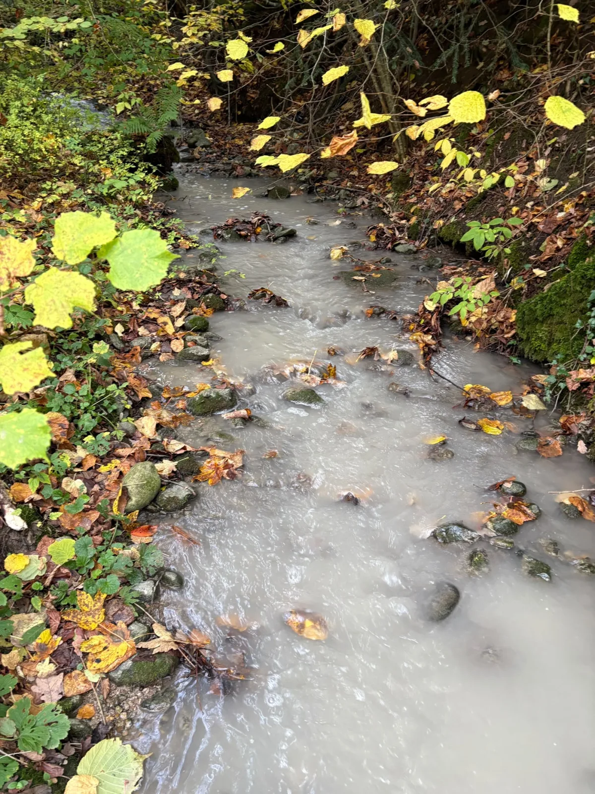 Lichtensteig SG – Beton gelangt in den Lederbach