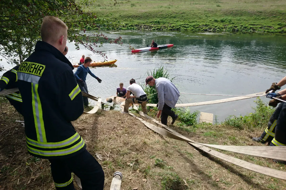 Pferd aus dem Fluss gerettet