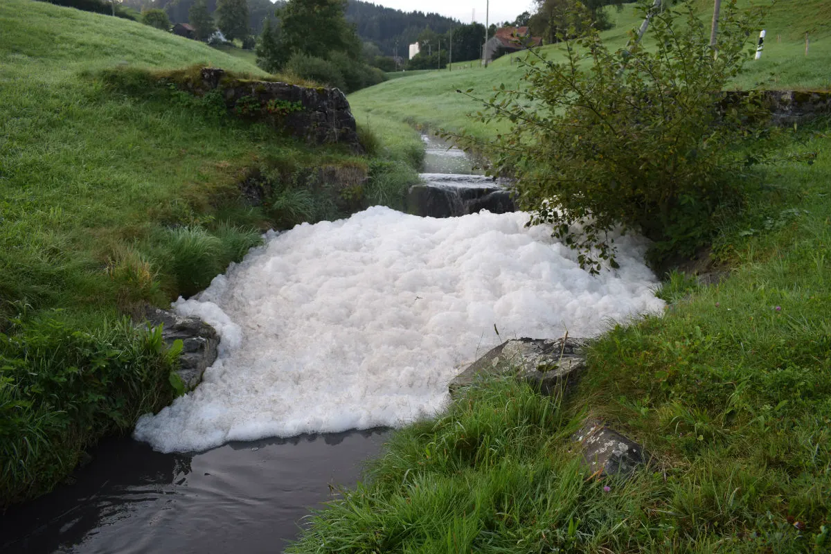 Schwellbrunn AR - Bach durch Gülle verunreinigt