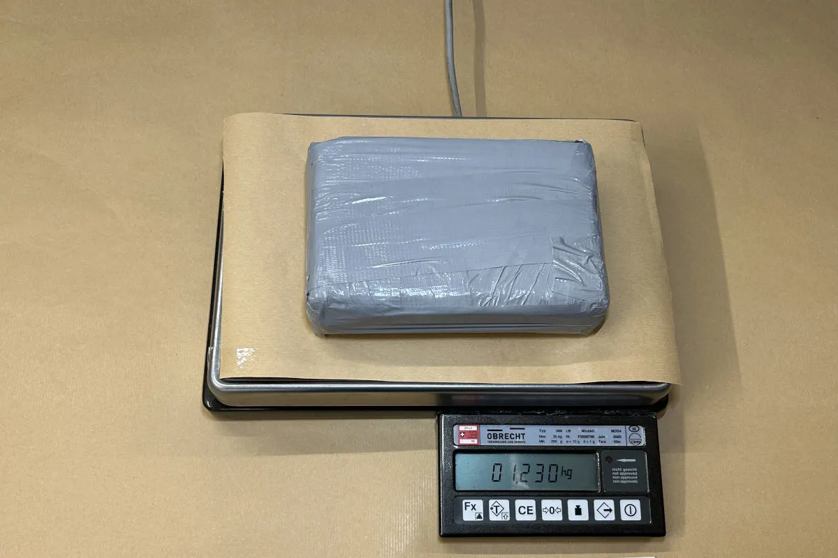 Ein graues, in Folie verpacktes rechteckiges Paket liegt auf einer Waage. Die Gewichtsanzeige zeigt 1.230 kg.