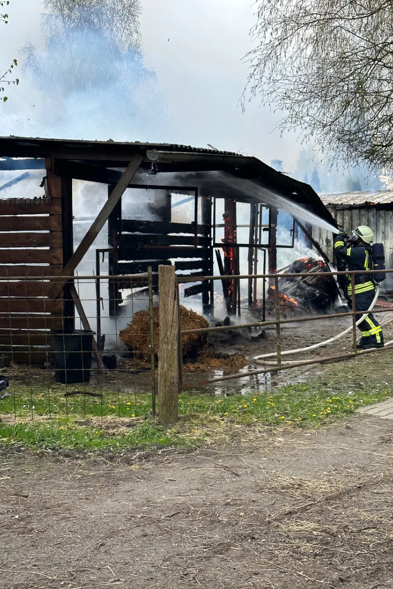 Brand in Pferdestall am Ortsrand von Weertzen - Feuerwehreinsatz verhindert Ausbreitung auf weitere Stallungen