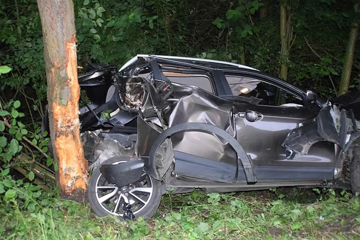 Unfall mit Rehwild in Rödinghausen - Nissan schleudert gegen Baum