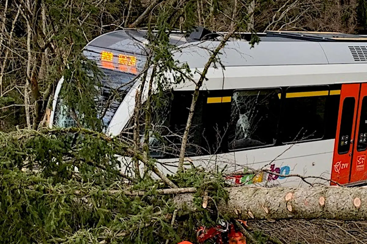 Wald ZH - S-Bahn kollidiert mit Baum