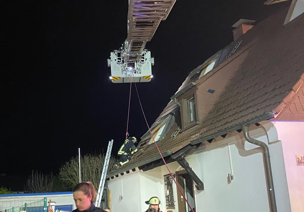 Dortmund – Die Feuerwehr konnte nach Brand zwei Katzen nur noch tot bergen