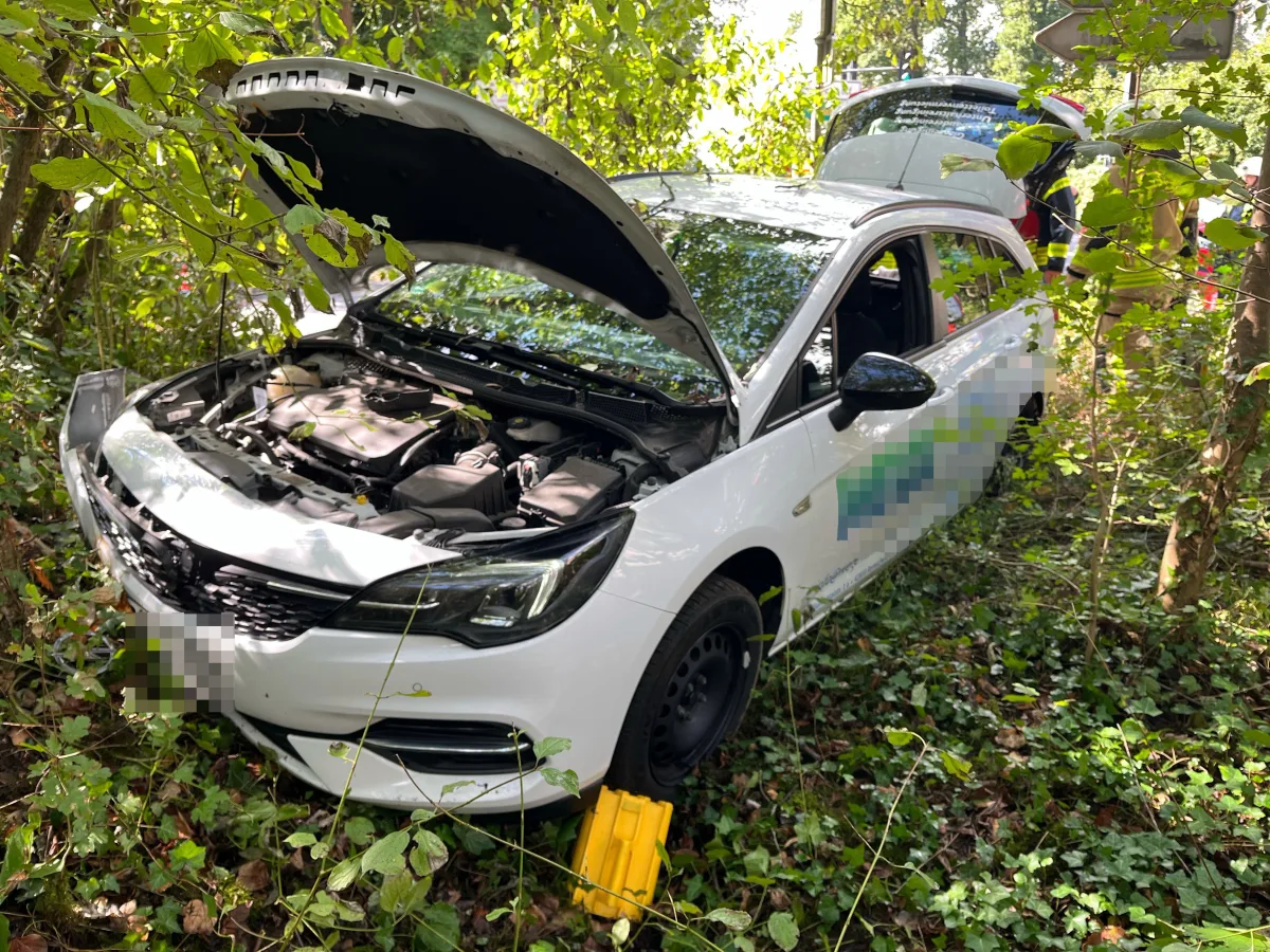 Ein weißes Auto mit offener Motorhaube befindet sich im Unterholz eines Waldes. Die Szene zeigt das Auto von vorne und leicht schräg aus der Nähe, umgeben von grünen Blättern und Ästen.