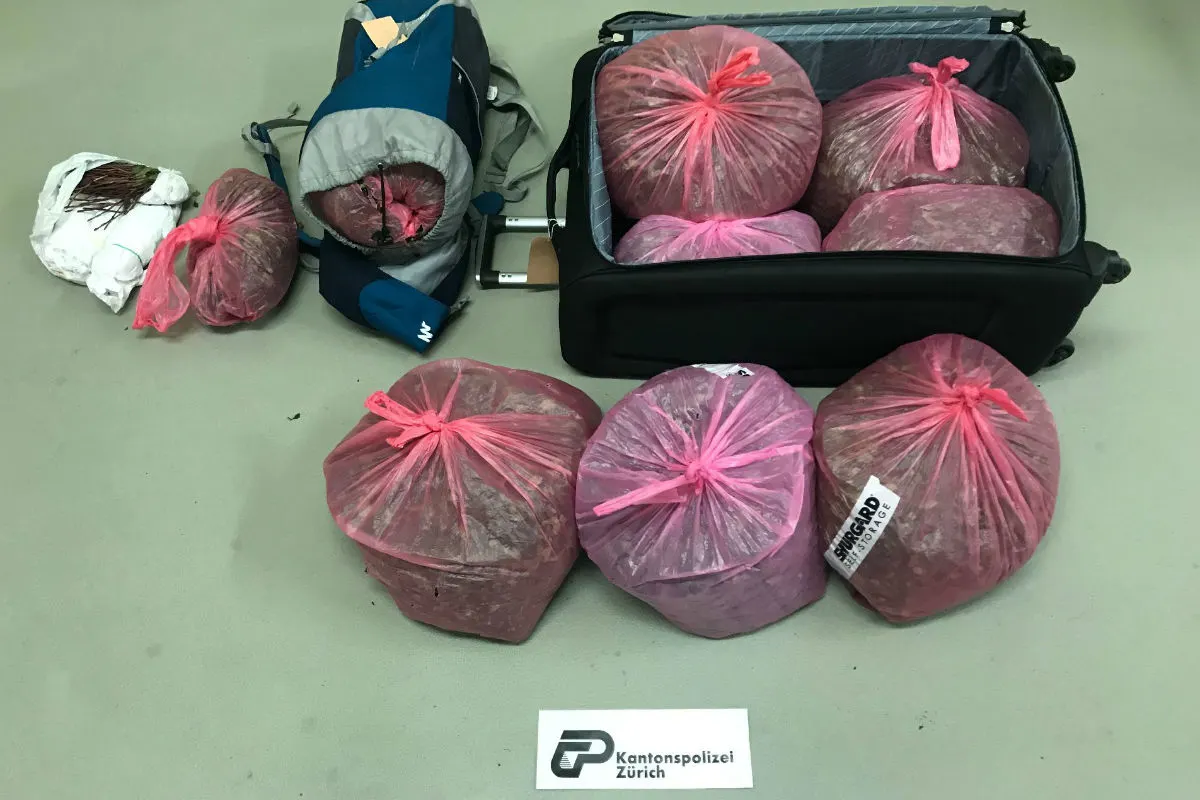 Drogendelikt Zürich ZH -  16 Kilogramm Khat sichergestellt - Drei Personen verhaftet