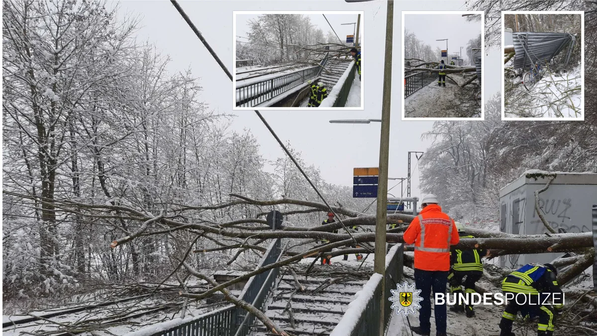 Wörth – Baum kippt auf Bahnsteig und reißt Stromleitung herunter