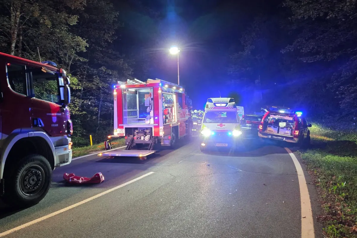 Mehrere Einsatzfahrzeuge, darunter Feuerwehr und Rettungsdienst, stehen nachts auf einer Landstraße. Die Umgebung ist bewaldet.